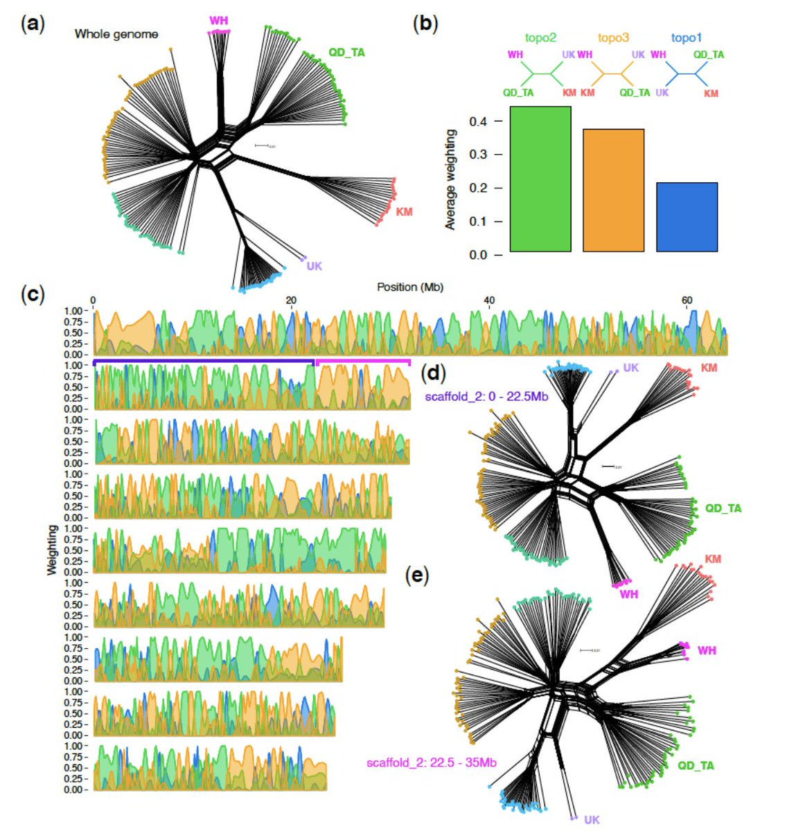 New #preprint with <a href="/SaskiaHogenhout/">Saskia Hogenhout</a> et. al.: biorxiv.org/content/10.110…

We generated chromosome-scale genome assemblies of the English and Indian grain aphids (Sitobion species).

Fun detective work shows that hybridisation has been an important force in grain #aphid evolution.

🧵