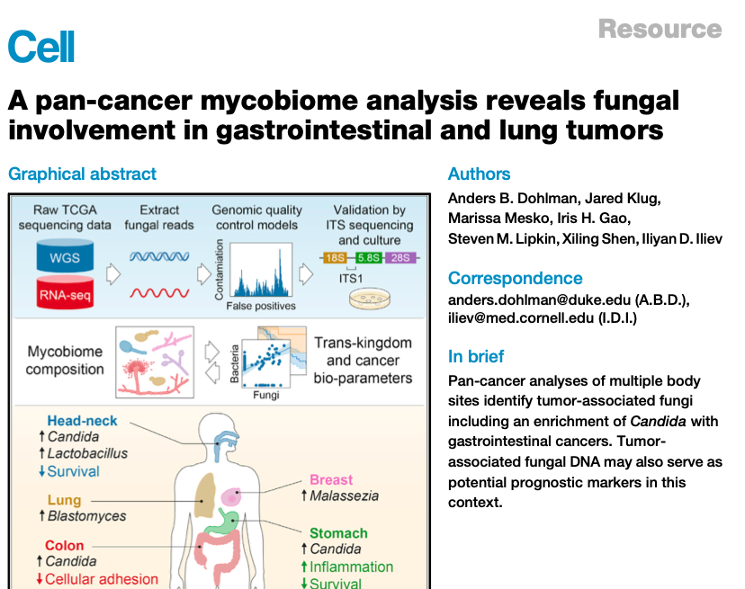 Two super exciting papers in Cell today looking at #fungi across multiple human #cancer types, thus expanding insights into the #tumor #microbiome - @StraussmanR @KnightLabNews bit.ly/3RoLQGj and @IlievLab @abdohlman bit.ly/3fodaHr #TCGA @CellCellPress