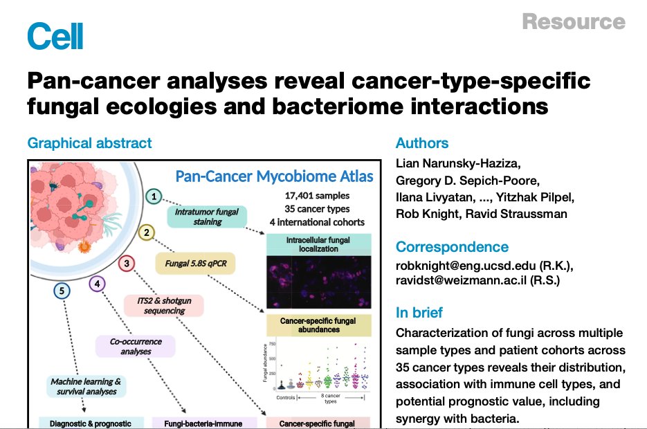 Pan-cancer analyses reveal cancer-type-specific fungal ecologies