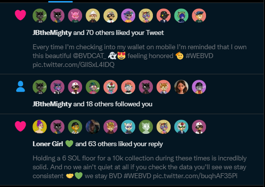 SeroNFT030's tweet photo. Tweeting and talking about @BVDCAT_ just be hitting different! 

So much love to the whole community and the team, we ain't no short term hype, we stay BVD MFs! 💚🫡

If you got a BVDCAT PFP and I am not following you yet, lets change that!🤝 

#WEBVD #TakingOverTwitter https://t.co/cF4Ezrk6Wy