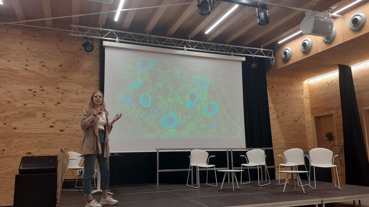 El Diego López i la Judith Sánchez, del @gnpr_uab, parlen al Centre de Vida Comunitària de Trinitat Vella sobre la recerca que fan estudiant les interneurones i les xarxes perineurals #NitdelaRecerca