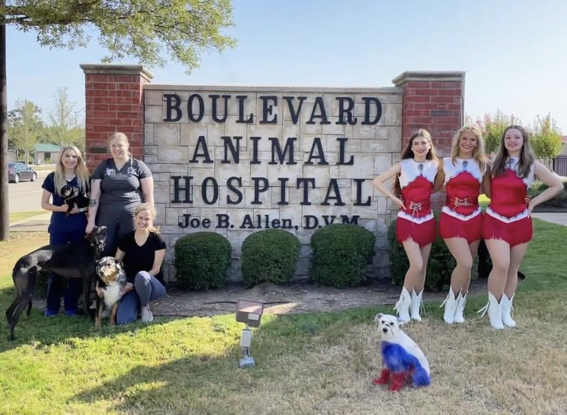 Happy #ThankfulThursday ! Thank you <a href="/BlvdAnimalHosp/">Blvd Animal Hospital</a> for your support of our organization!