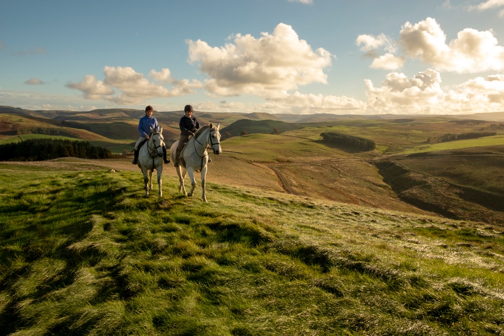 Autumn is officially here and the leaves are turning beautiful shades of yellow and burnt orange. 🍂 
Is there any better way to explore the estate than by horseback? Did you know that we organise incredible riding adventures for our accommodation guests? 🐎
