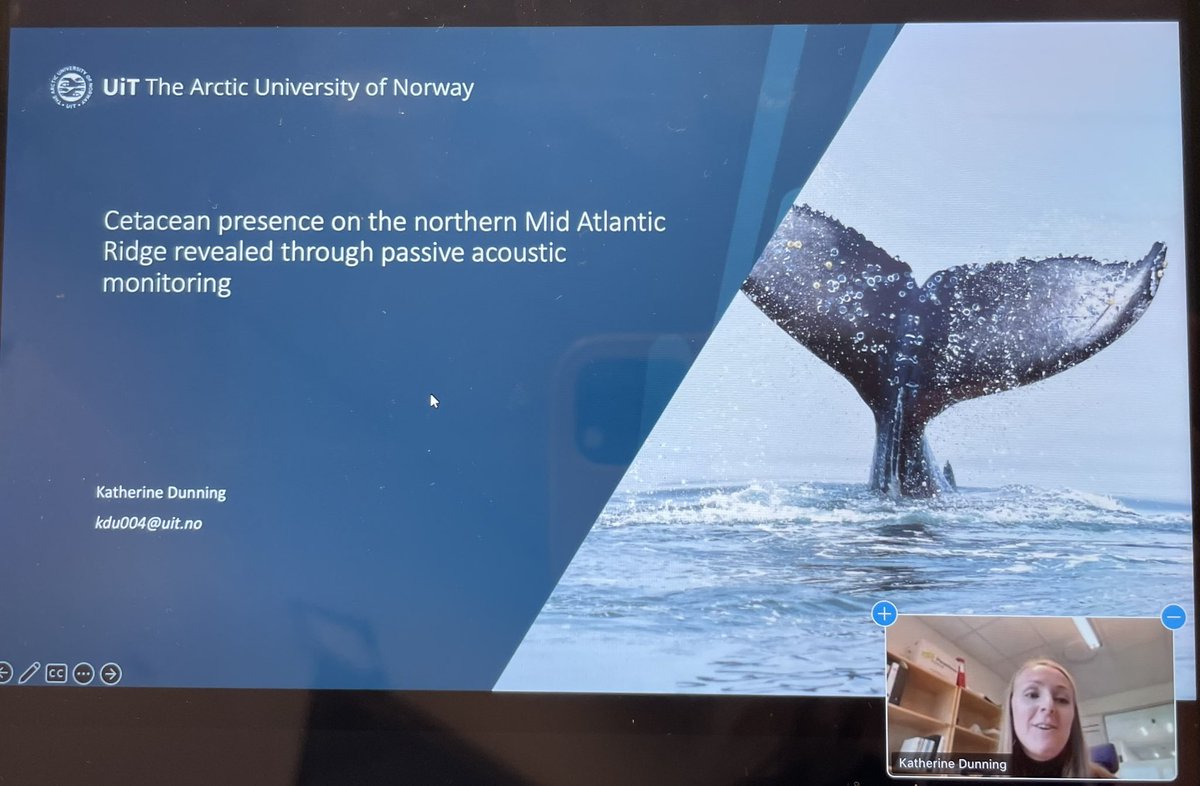 Congrats to <a href="/KillerWhaleKate/">Katie Dunning</a> on her master’s #thesis defence today 👏🏼 

Excited to read more about #cetacean presence using #pam and automatic detection soon 📄