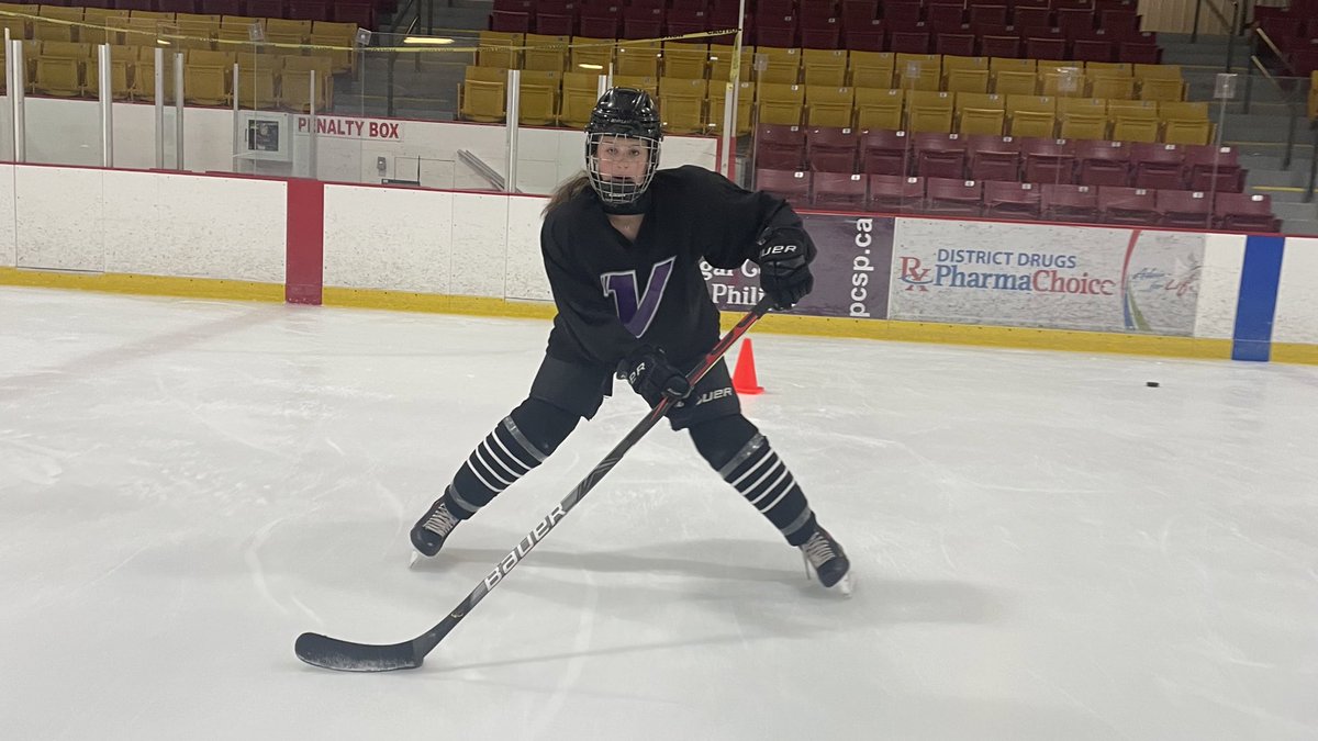 Vision Hockey Group tweet media