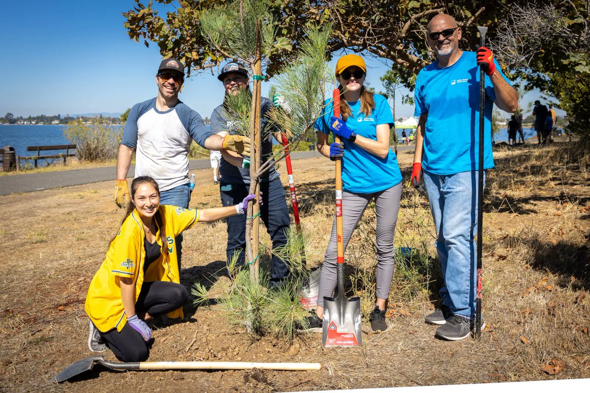 We had an outstanding weekend planting trees at the Martin Luther King Jr Shoreline with Tony Kemp, the Oakland A's, PG&E, One Tree Planted and Players for the Planet! Thank you to all of our volunteers and to the East Bay Regional Parks District for being such a terrific host.