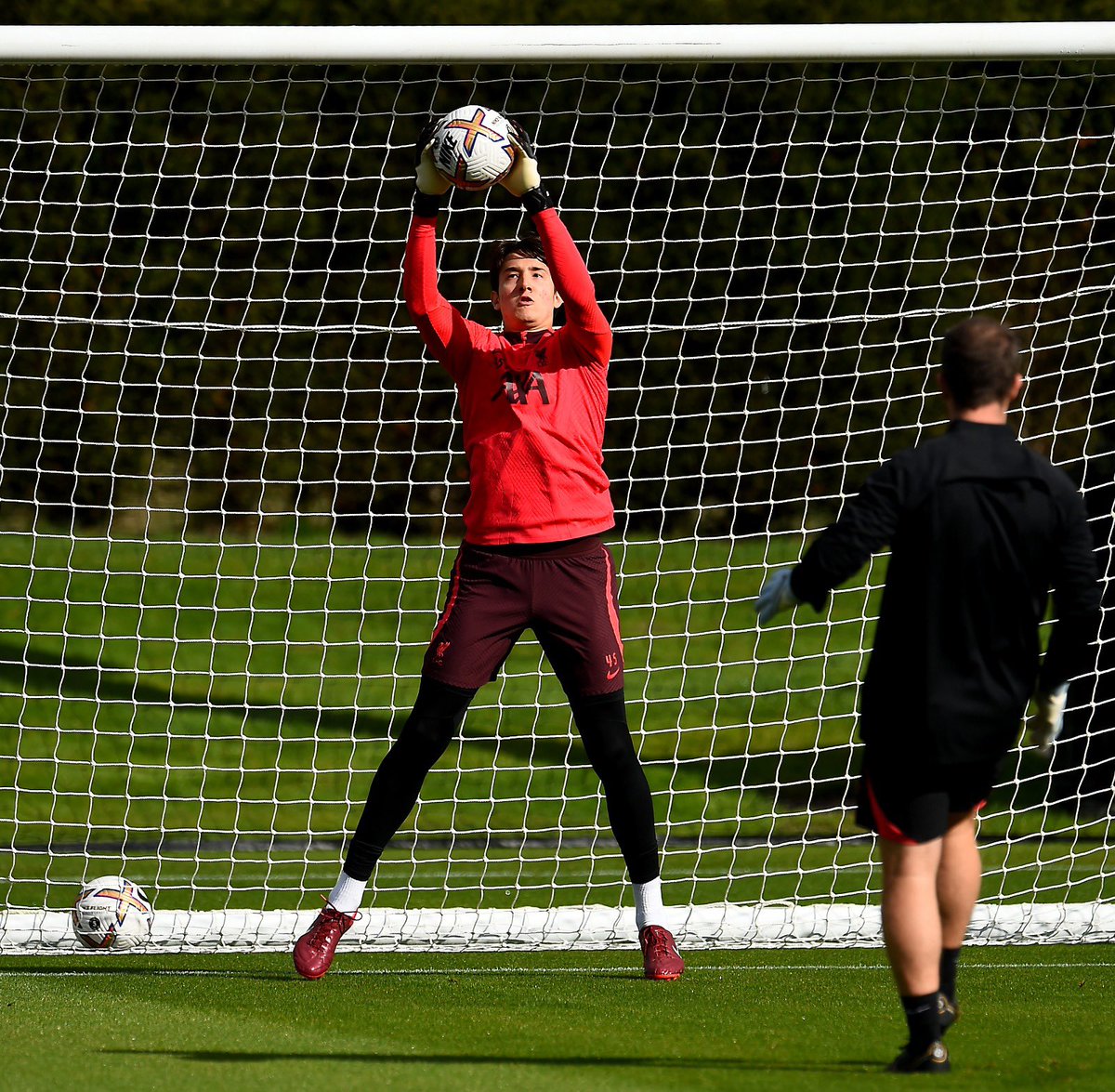 Marcelo Pitaluga tweet media