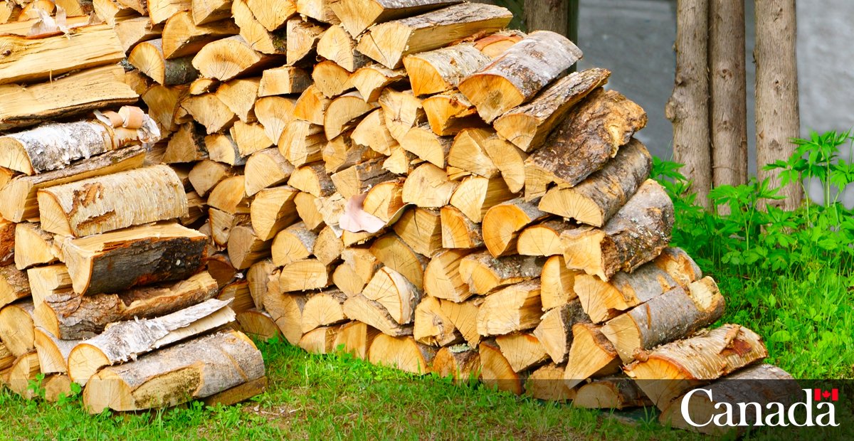 InspectionCan's tweet photo. #InvasiveSpecies that threaten our forests can easily hide in firewood, even though we might not see them 🪲

When firewood is moved, so are these pests, potentially threatening our beautiful forests 🌳🌲 1/2 https://t.co/c8Pelcc3sl