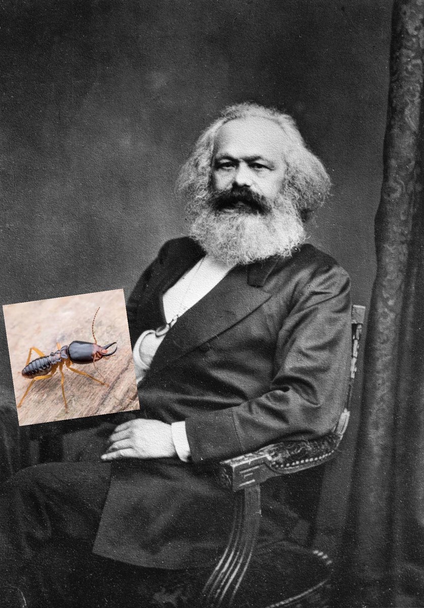 MarxistTermite's tweet photo. Me and da homie (we lit) https://t.co/e7eR8ANmoH