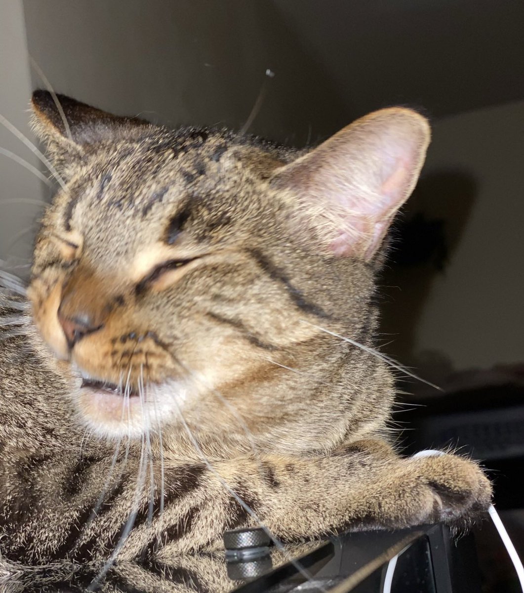 Gabriela 🧚🏻‍♀️ tweet media