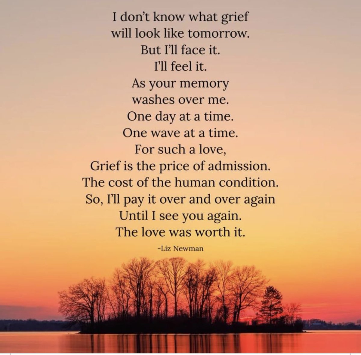 The only way through grief is to go through grief. 🧡 We have to face it and feel it, one wave at a time. Liz Newman.