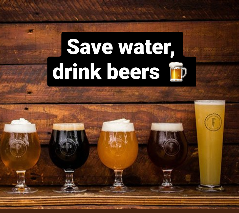 Tappi Beer (😼,❗,🍺) tweet media