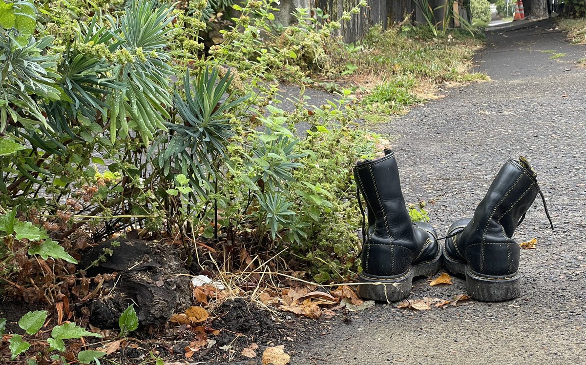 Seamus Campbell (@conform) on Twitter photo 