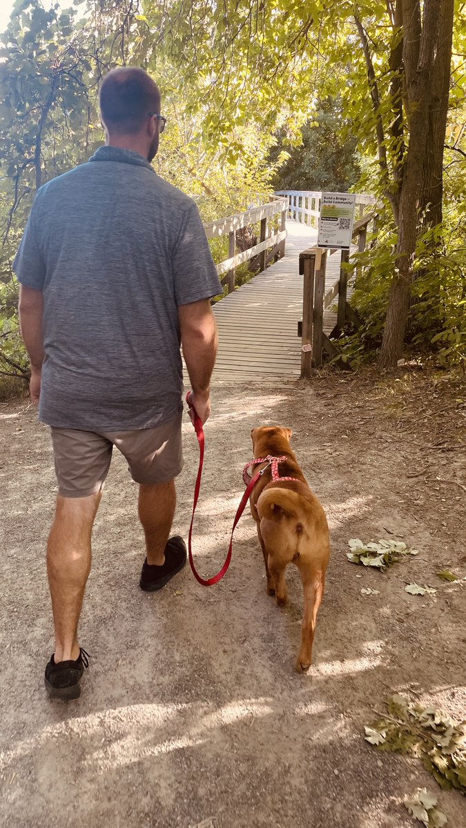 Glad to see that the RVCA is able to construct this accessible pedestrian bridge at one of the most beautiful parts of #Barrhaven East!  I can't wait to take a stroll on it with Agnes once it's done! 🐶