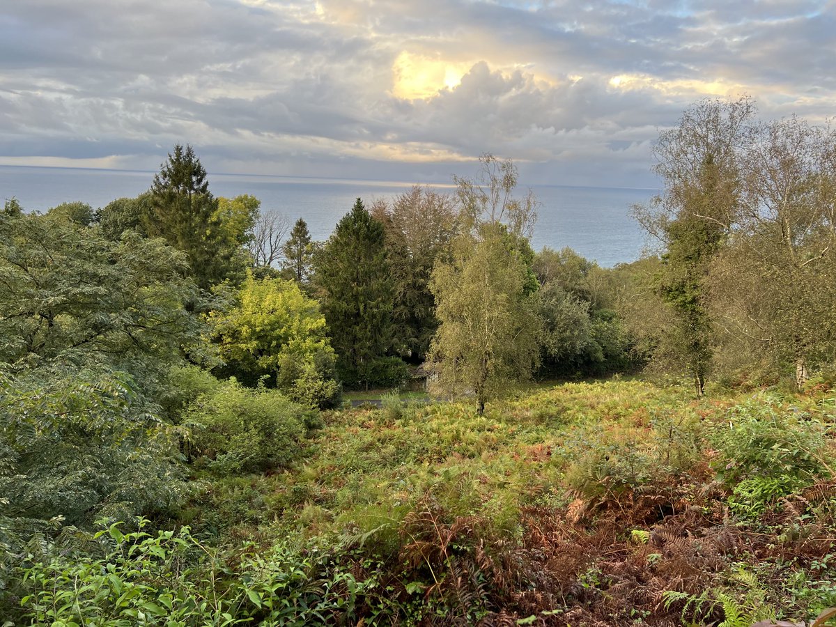 pdmplv's tweet photo. #Otoño comienza el cambio de color #Igeldo #Observatorio_Igeldo #Donostia #PaísVasco #fenología #Phenology ⁦@AEMET_PaisVasco⁩ https://t.co/9WqwfGZMst