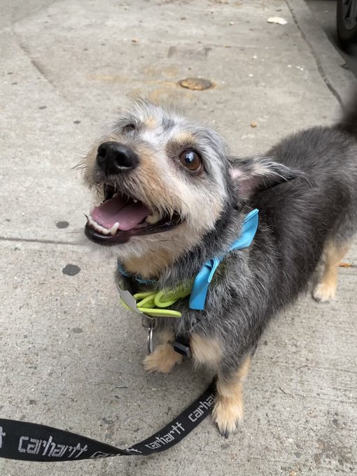 red alert we&rsquo;ve got a pretty girl on our hands https://t.co/nQ1Pb6xGPD