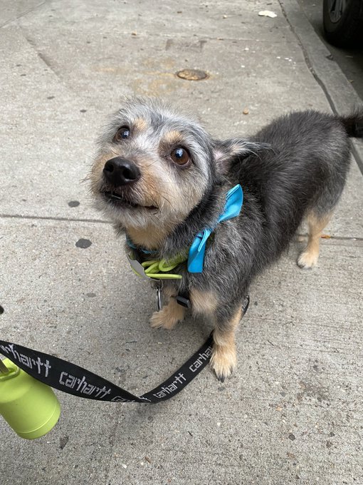 red alert we&rsquo;ve got a pretty girl on our hands https://t.co/nQ1Pb6xGPD