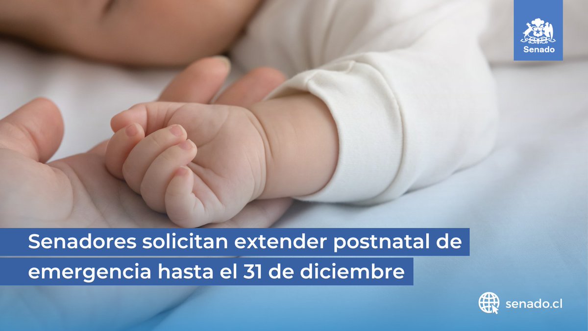 Senado_Chile's tweet photo. 🌐Un grupo transversal de senadores presentaron un proyecto de acuerdo, por medio del cual, solicitan al Ejecutivo, redactar un mensaje que aclare que la licencia estará vigente hasta fin de año.
▶

https://t.co/l8V0JiE1Ek https://t.co/CH9cek66Ae