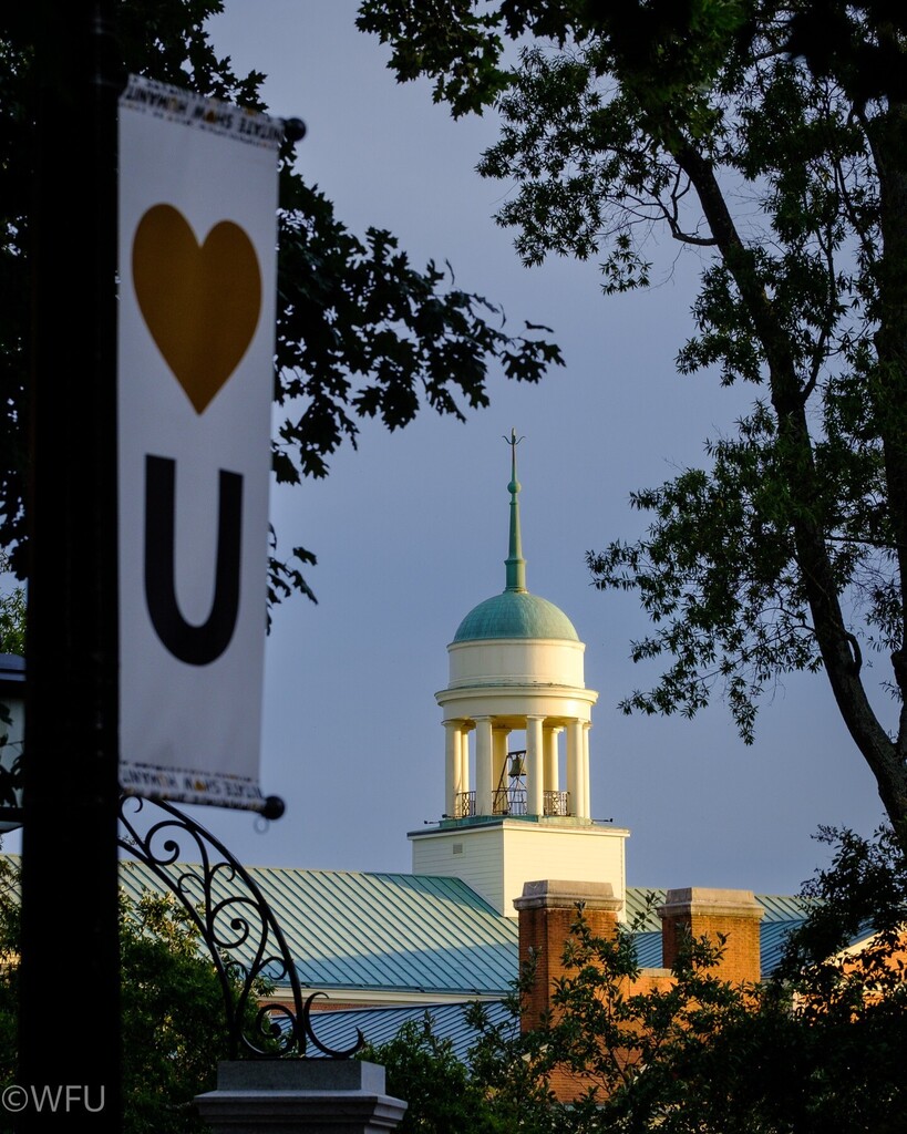 Wake Forest Photography tweet media
