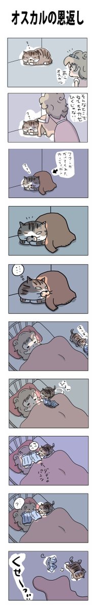 OSCARの恩返し
#こんなん描いてます #自作まんが #漫画 
#猫まんが #4コママンガ #NEKO3 