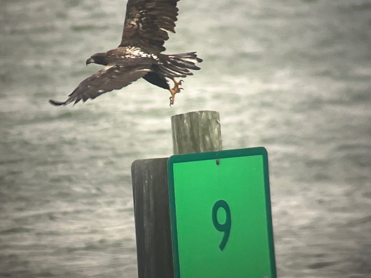 VBCPS Environmental Studies Program tweet media