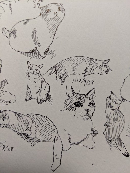 思い出は優しいから甘えちゃだめなんだよ(FFⅩ リュック) カキカキ。 