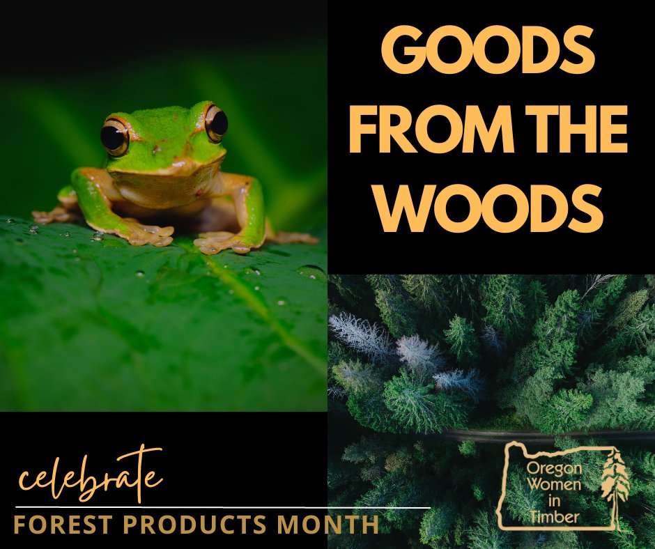 OR_Women_Timber's tweet photo. Our forests are such amazing “producers”—from recreation &amp; wildlife habitat to living wage jobs &amp; products we use every day. Enjoy the woods this weekend! #forestproductsmonth #goodsfromthewoods #forestproud #forestproudoregon #beforestproud #managedforestsareforever #forthetrees https://t.co/AhdfsN1qjL