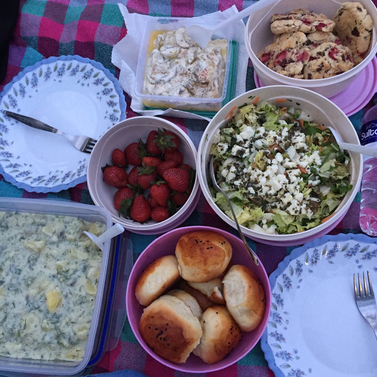 tatebruli's tweet photo. Piknikli iftar sofrasından. Soldaki sabırsızlıkla oruç açmayı bekleyen Ebruli hanım. https://t.co/hOstuYJFvy