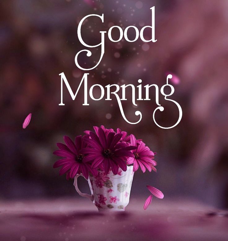 Шинэ сайхан өглөөний мэнд ээ
Та нартаа амжилт хүсье👍