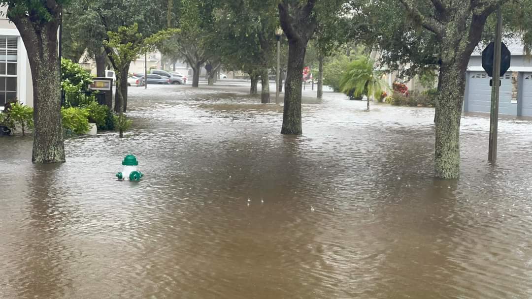 Kris Spragg tweet media