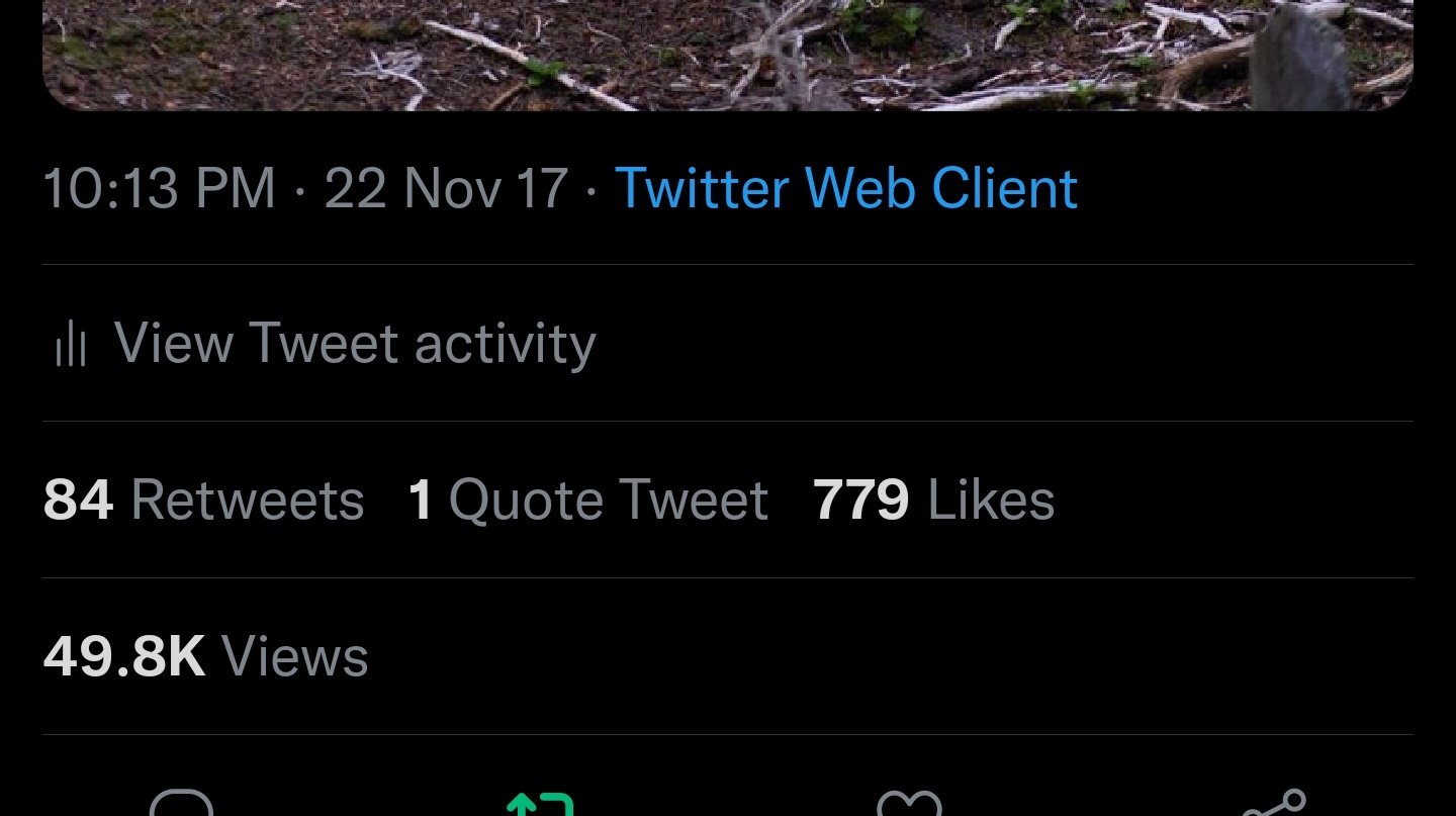 Loomy sir buns a lot on twitter this update sucks i really don t