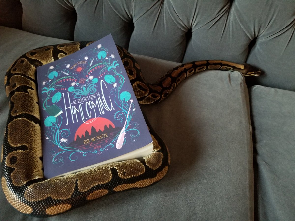 SiennaTristen's tweet photo. Listen all I'm saying is Lola would not be snuggling the book if it wasn't good.

She has impeccable artistic taste. https://t.co/pxLukqhPKO