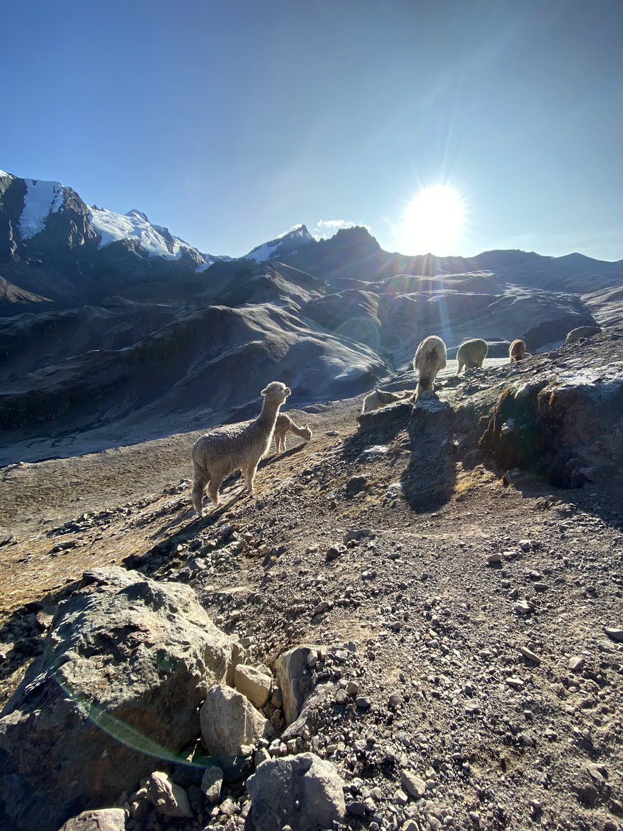 Free & Easy Traveler tweet media