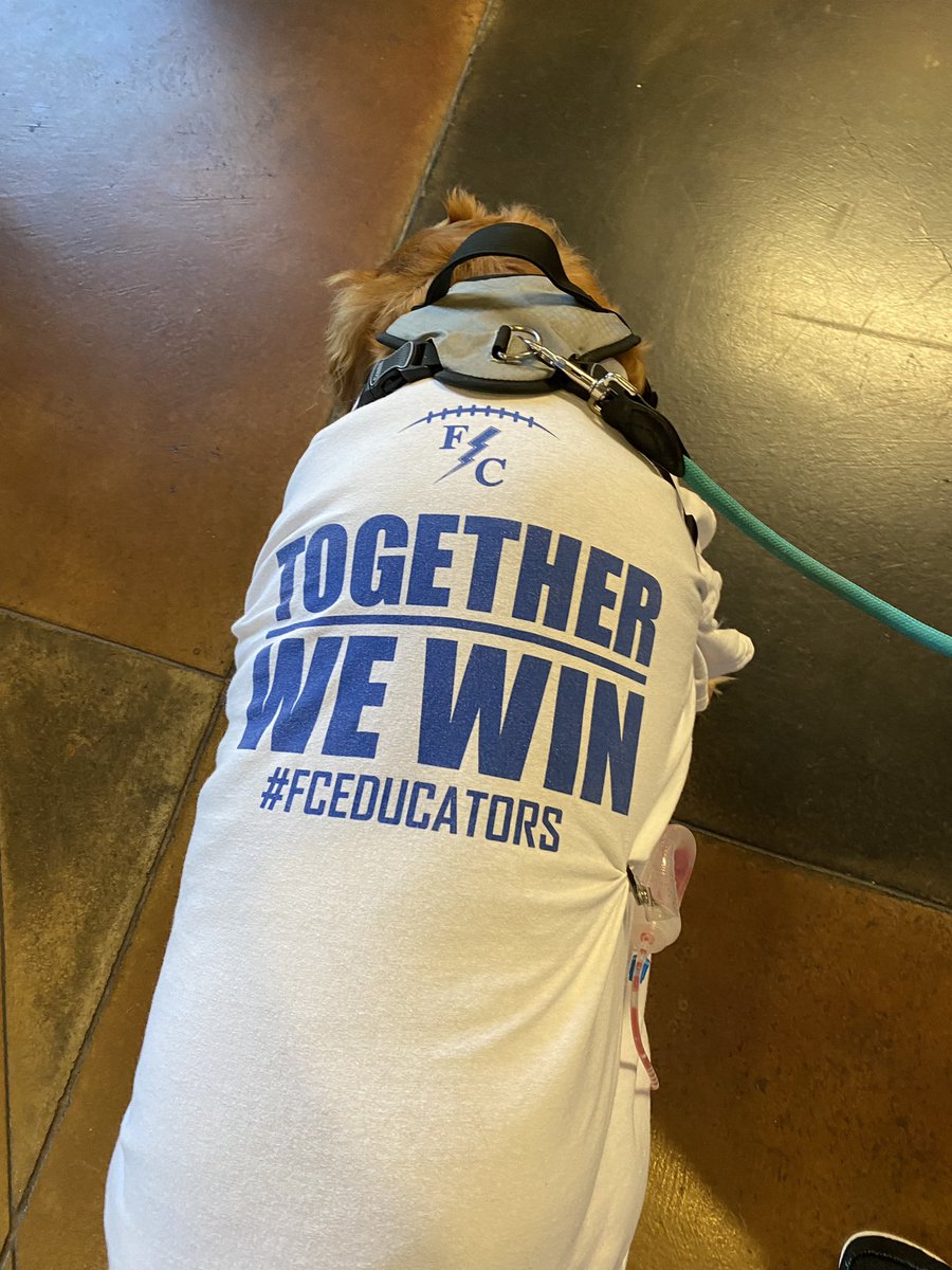 TheFACSofLife's tweet photo. After weeks of intense worry, our lil Furrever Flash is sans tumor and headed home! Fingers crossed the “labs” read that we are cancer free! He wanted to share this, “I always have the spirit to cheer for my pawesome Flashes!” (Copyright Mr. Burke) #theFACSofLife @FCFlashesFB https://t.co/KpArSoOguS