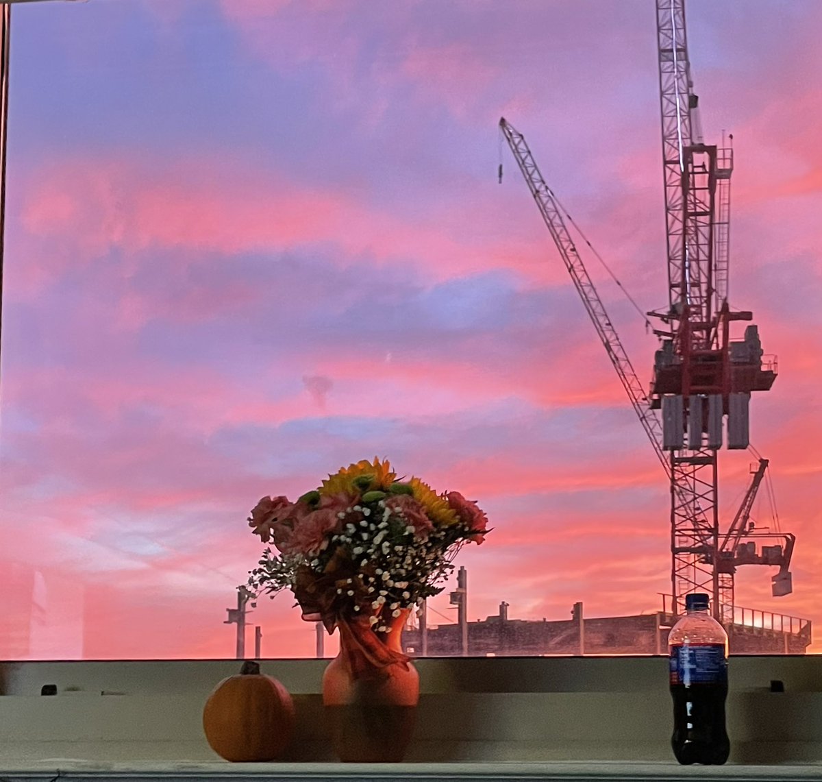 Hello friends. The sunset tonight is popping off.