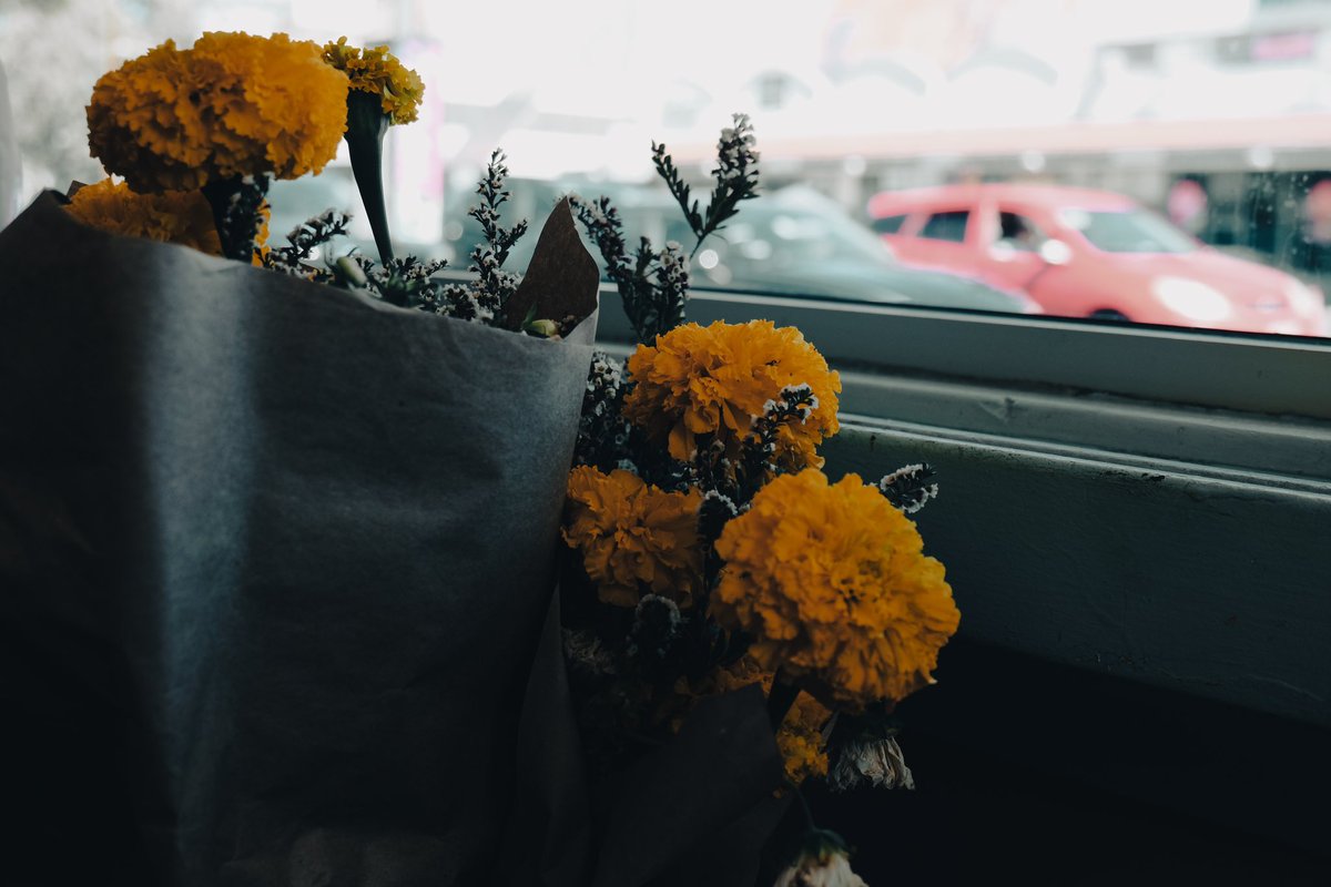 GarrettGallego's tweet photo. Flowers Deserve Sunlight ☀️ #flowers #sunlight #colors #photography #window #longing https://t.co/BmAXi3aqAh