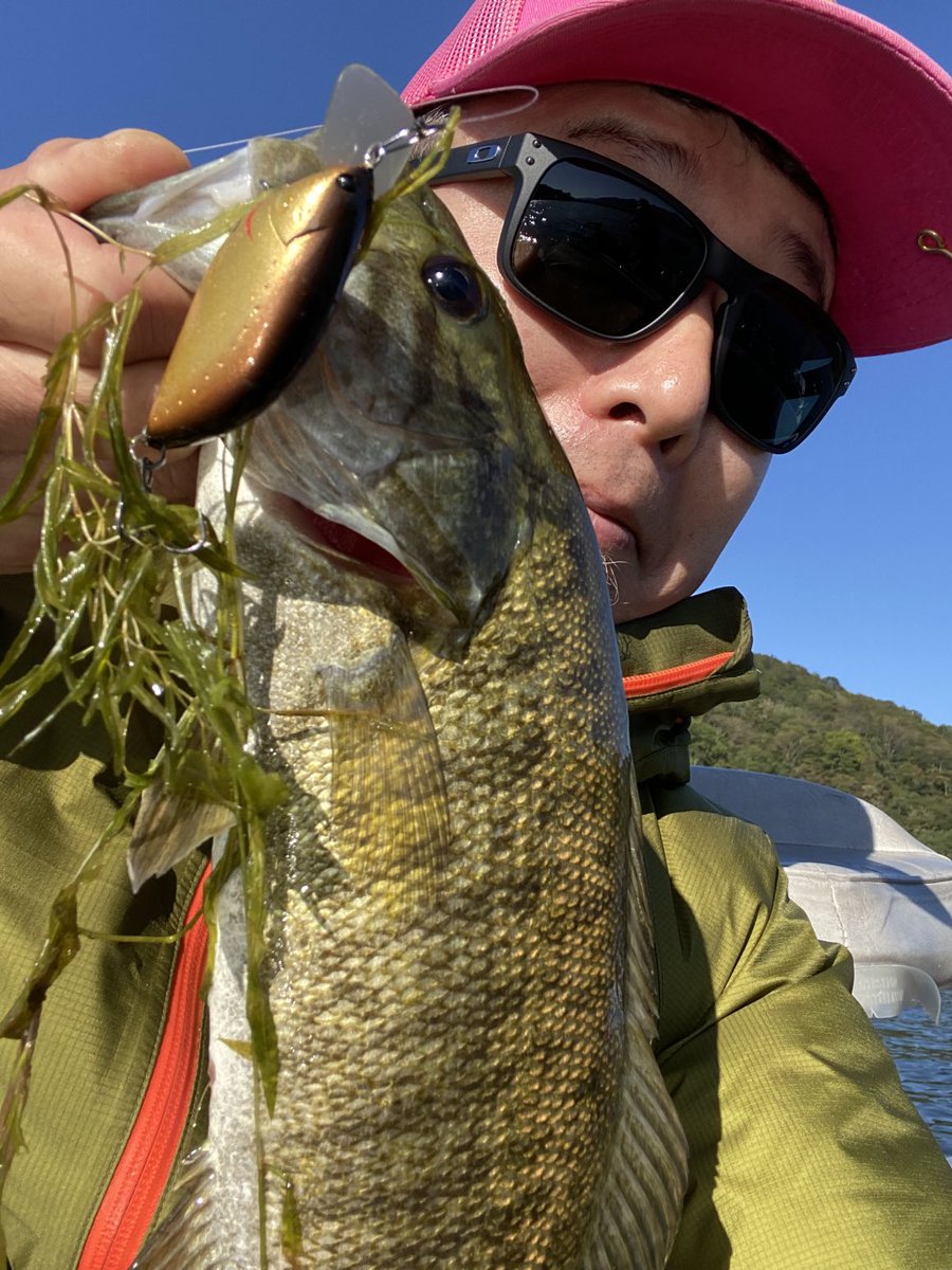 六度九分 (@rokudokubu) / Posts / X