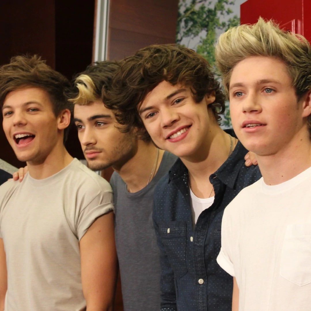 Em on Twitter "I can’t talk to a guy who’s never watched one piece 🤷🏻