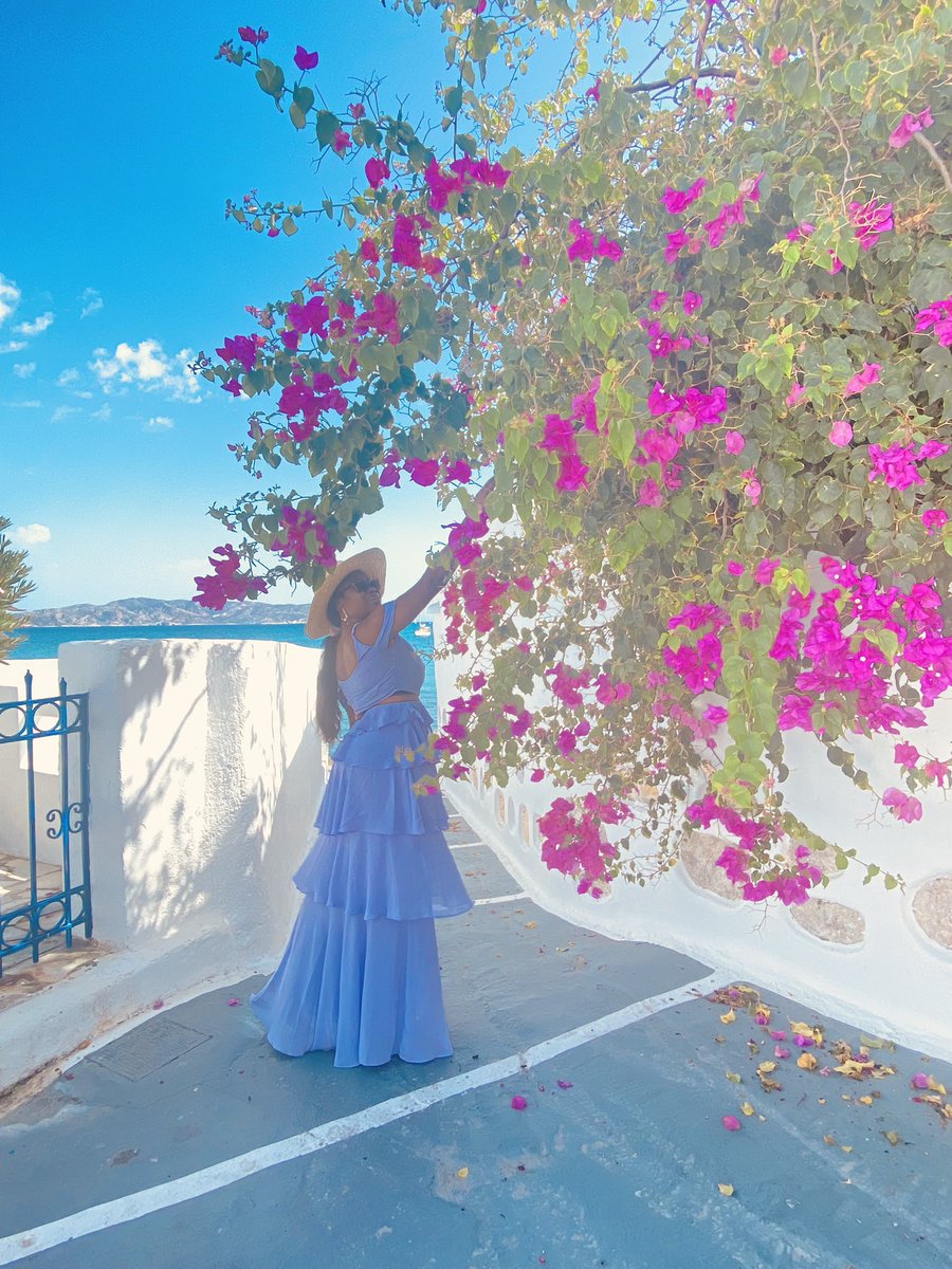 softlifeoflala's tweet photo. “We found a flower in your garden and we have come to pluck it” 

👇🏿👇🏿The flower and her fellow flowers 🙈😂
#greece #pollonia https://t.co/XhT3TYCbDA