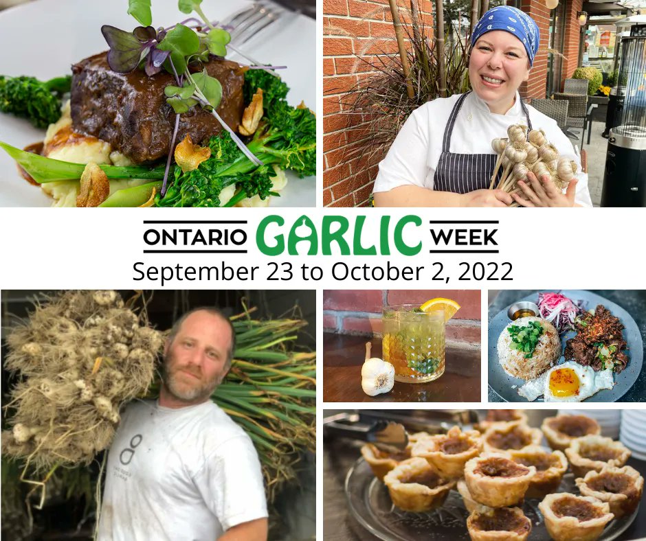 ONGarlicWeek's tweet photo. #OntarioGarlicWeek is a cross-cultural celebration of Ontario-grown garlic. Involving farmers, chefs and consumers of local garlic with stakeholders from farming and rural economic development, food &amp; beverage, hospitality &amp; tourism, education, and culture. Everyone loves garlic! https://t.co/bqIYSXj24E