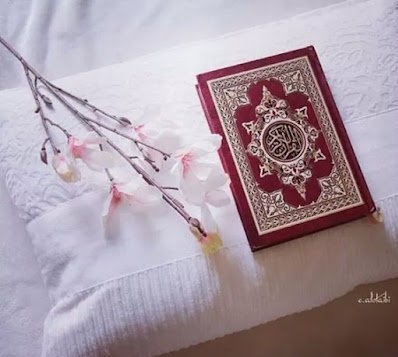 alzyn84's tweet photo. وهو الذي تَصفُو القُلوبُ بحُبِّه 
       صلّوا عليهِ وسلّموا تسليما🌷🌷 https://t.co/7xLaCVoU3l