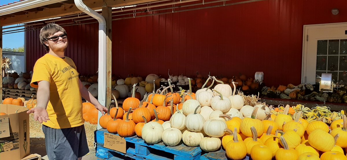 Jacob Horn showing off his impressive pumpkin display at Crystal and Rich's