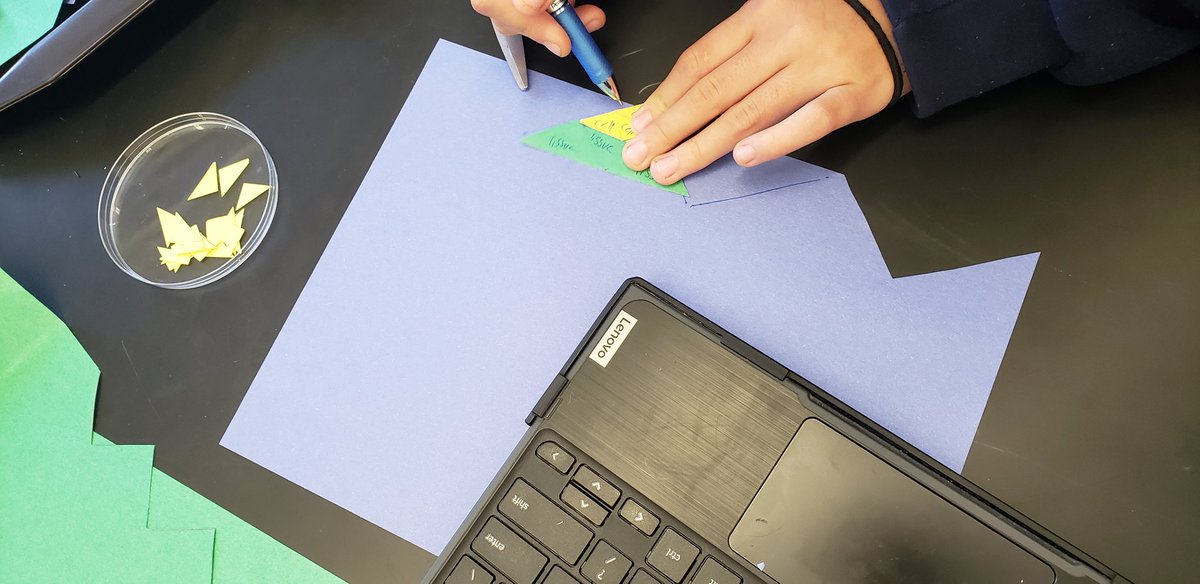 Michael Stagg tweet media