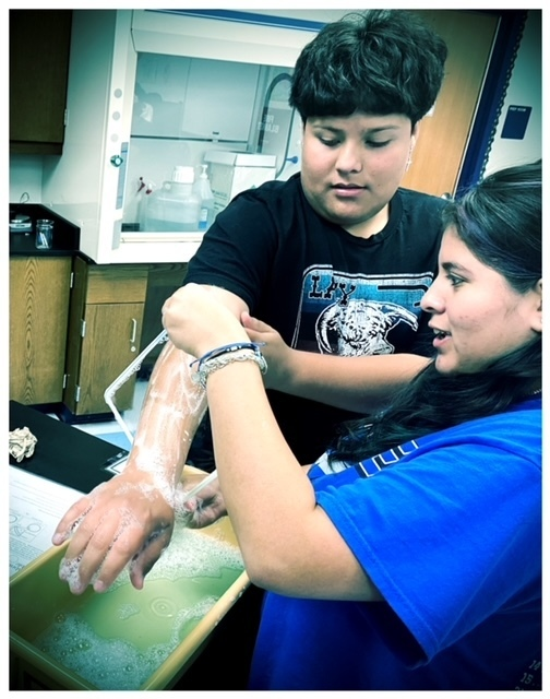 decaturisd's tweet photo. The DHS Biology classrooms used bubbles to mimic cell membrane flexibility, permeability and self repair. Students had SO much fun they stayed after class to continue!!! #smarteagles #weAREdecatur https://t.co/HGETXMOWOM