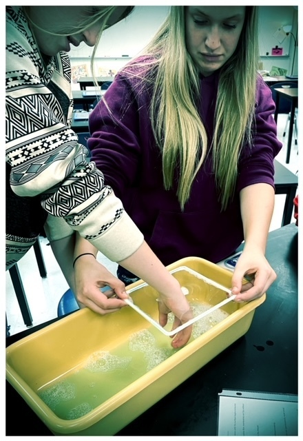 decaturisd's tweet photo. The DHS Biology classrooms used bubbles to mimic cell membrane flexibility, permeability and self repair. Students had SO much fun they stayed after class to continue!!! #smarteagles #weAREdecatur https://t.co/HGETXMOWOM