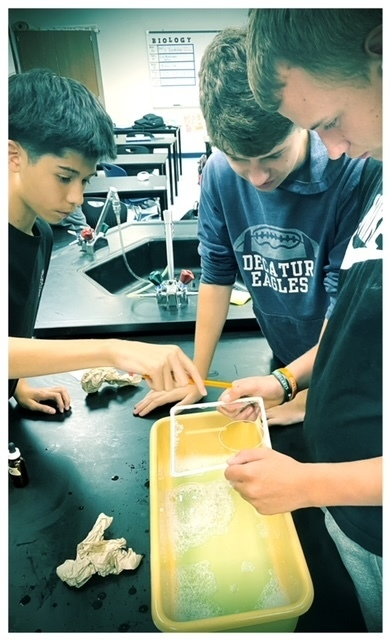 decaturisd's tweet photo. The DHS Biology classrooms used bubbles to mimic cell membrane flexibility, permeability and self repair. Students had SO much fun they stayed after class to continue!!! #smarteagles #weAREdecatur https://t.co/HGETXMOWOM