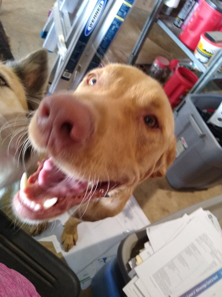 Beth Sullivan tweet media