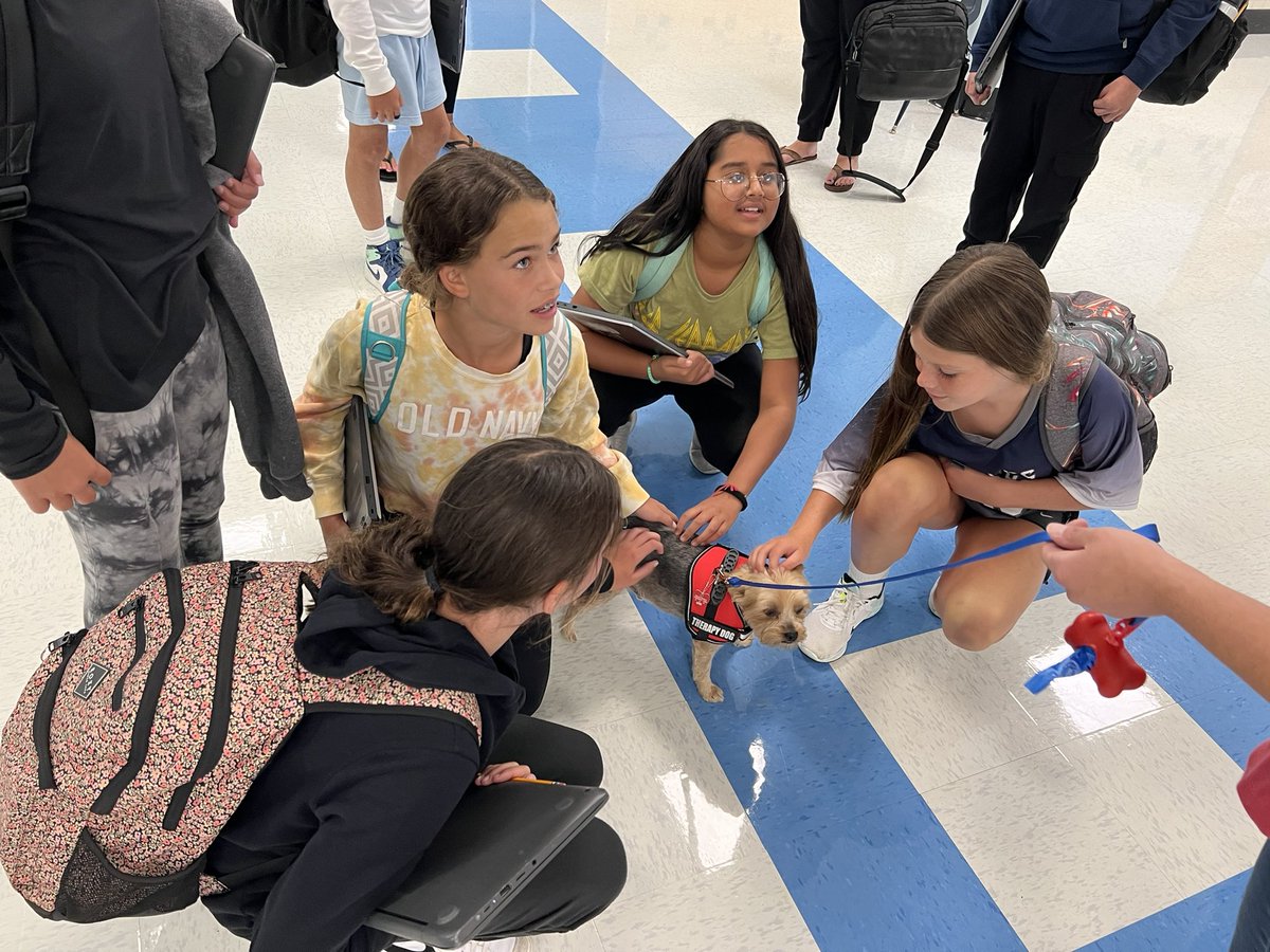 brigschools's tweet photo. Well the “dog” is out of the bag! We have secured the services of a Therapy Dog for our #BrigStrong district. 

Be on the look out, as Henny (a Yorkie), in the near future will be visiting 1-2 times a week to bring many smiles to all! https://t.co/x31VsBHsrg