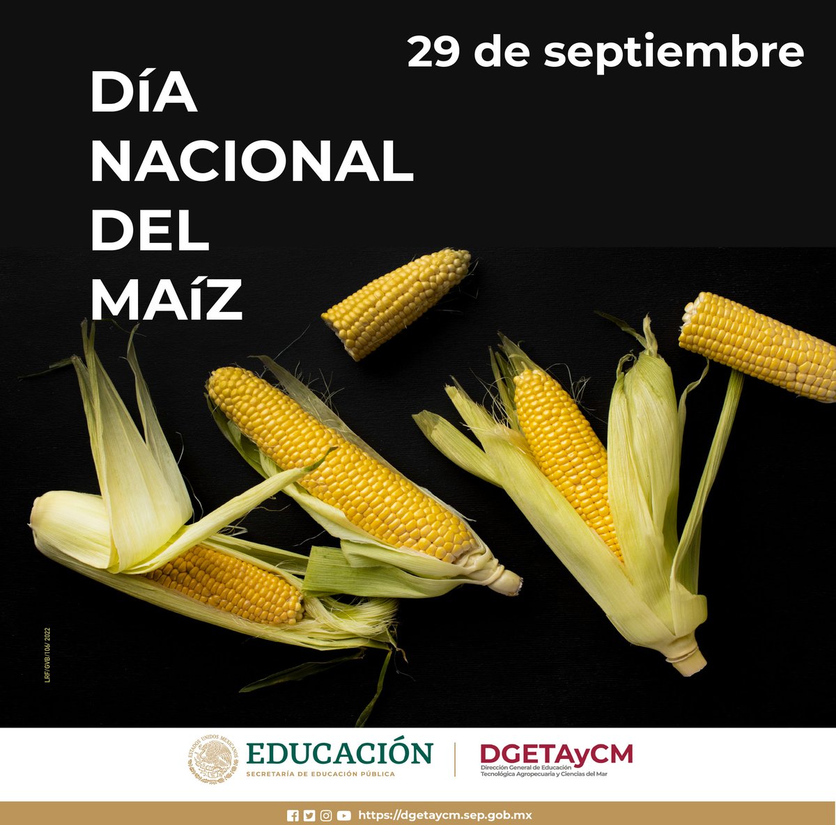 #DiaNacionalDelMaiz