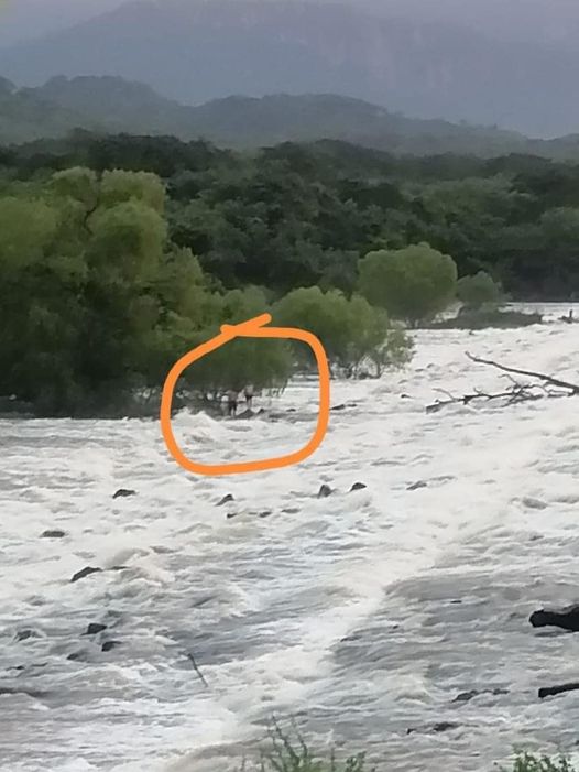 reporterosmx's tweet photo. DESDE AYER PESCADORES ESTÁN VARADOS EN UNA PRESA, AÚN NO HAN SIDO RESCATADOS. https://t.co/TmwdphUK7P a través de @Las Noticias de Tepic Nayarit México y el Mundo https://t.co/9GuTvgJVow
